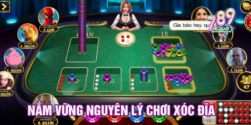 Nắm vững nguyên lý chơi xóc đĩa
